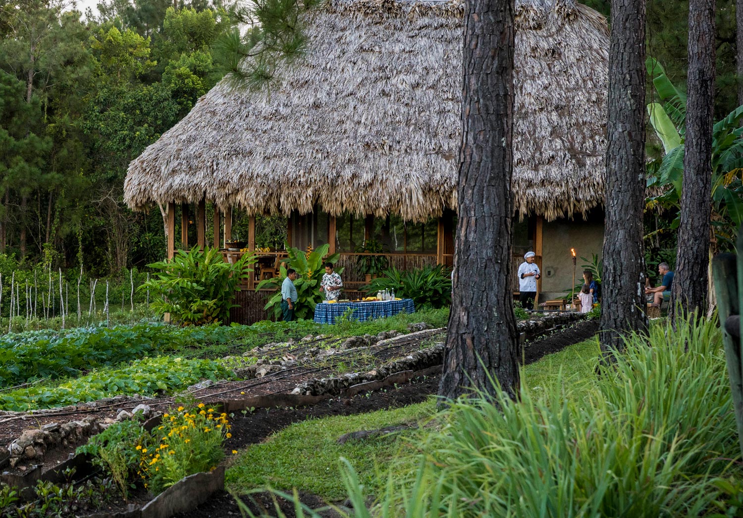 Tropical planting at Blancaneaux