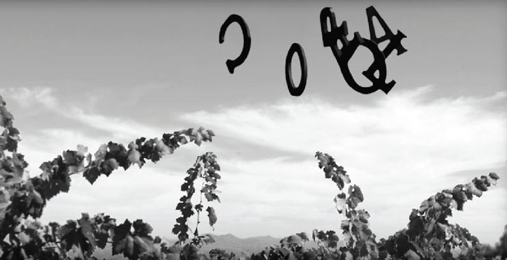 The letters of COPPOLA photographed in flight above the vineyard