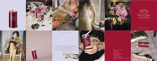 Sofia Mini printed panels combining photography, typography and the red can