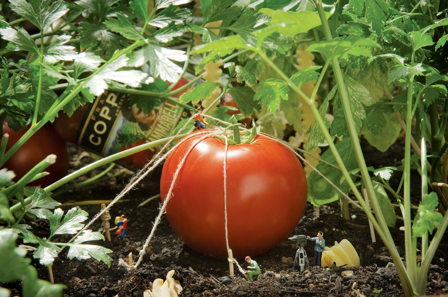Miniature figures and a film camera around a tomato among fresh herbs