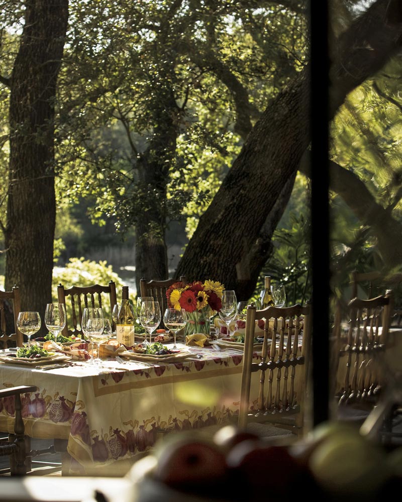 A sunlit outdoor table set with wine, flowers and food beneath trees